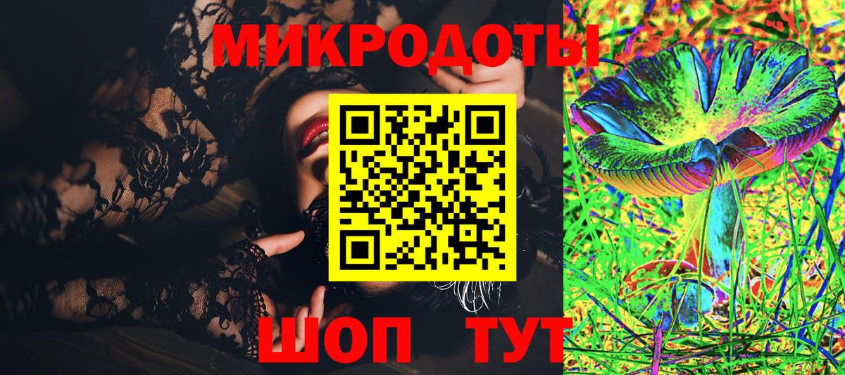 Реутов  Псилоцибиновые грибы прущие грибы  Вход с VPN  Псилоцибиновые грибы Psilocybe 